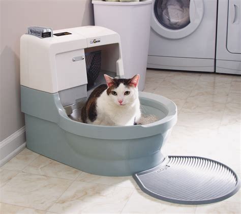 inexpensive automatic litter box